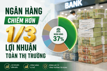 Ngành ngân hàng chiếm 1/3 lợi nhuận toàn thị trường chứng khoán