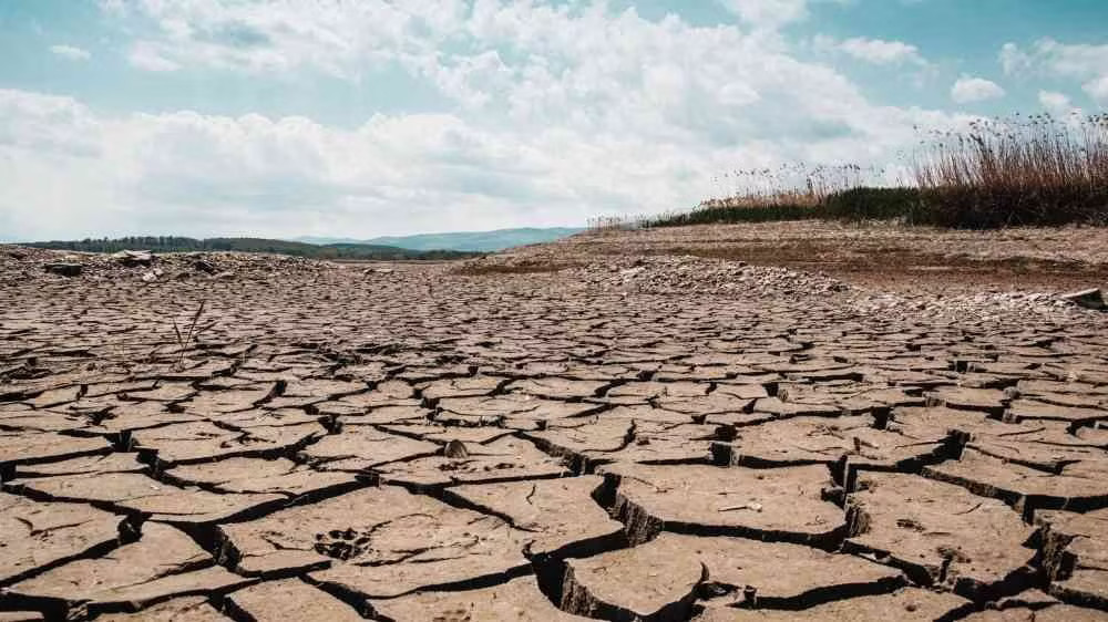 Tổ chức Khí tượng Thế giới cảnh báo về sự gia tăng nhanh của hiện tượng El Nino, dự báo sẽ đạt cường độ mạnh trong giai đoạn từ tháng 8-10/2026. Ảnh: PreventionWeb.net. Tổ chức Khí tượng Thế giới cảnh báo về El Nino - Ảnh 1.