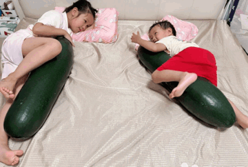 Lời khuyên cho những người biến bí đao thành gối ôm làm mát