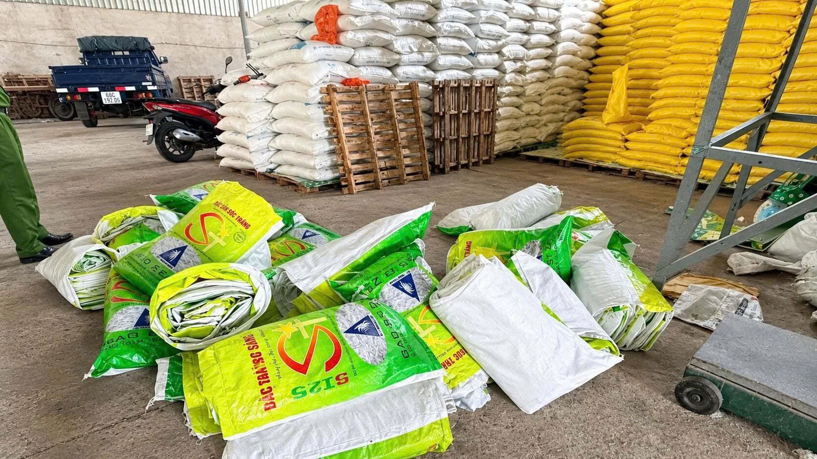 Lực lượng chức năng kiểm tra hai cơ sở kinh doanh tại An Giang, thu giữ hơn 22 tấn gạo được đóng gói trong bao bì mang nhãn hiệu ST25 để phục vụ điều tra.