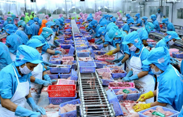 Một mặt hàng chủ lực của Việt Nam đột ngột chững lại vì đòn thuế 12,5% từ Mỹ