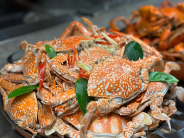 'Lộc biển' của Việt Nam khiến người Mỹ mê mẩn, một mình ôm trọn thị trường