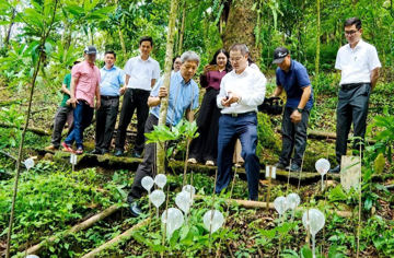 'Quốc bảo' trên núi cao có gì khiến ông Trần Bá Dương muốn biến thành ngành công nghiệp tỷ đô?