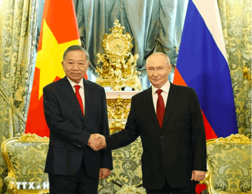 Tổng Bí thư, Chủ tịch nước Tô Lâm hội đàm với Tổng thống Nga Vladimir Putin
