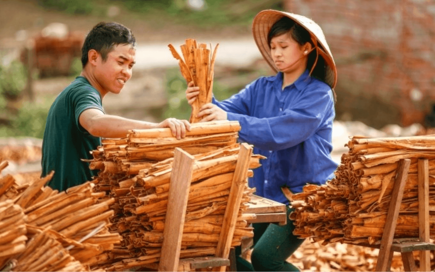 Ảnh màn hình 2026-09-10 lúc 14.41.05