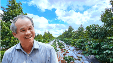 Bầu Đức đón tin vui từ 20.000ha cà phê, năng suất dự kiến vượt 20% mục tiêu