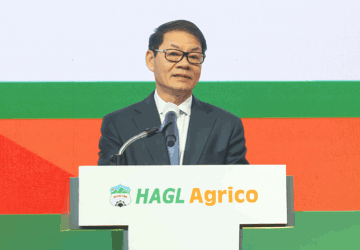 HAGL Agrico (HNG) lỗ lũy kế hơn 13.200 tỷ đồng, vẫn còn khoản cam kết đầu tư 400 triệu USD vào Nam Lào
