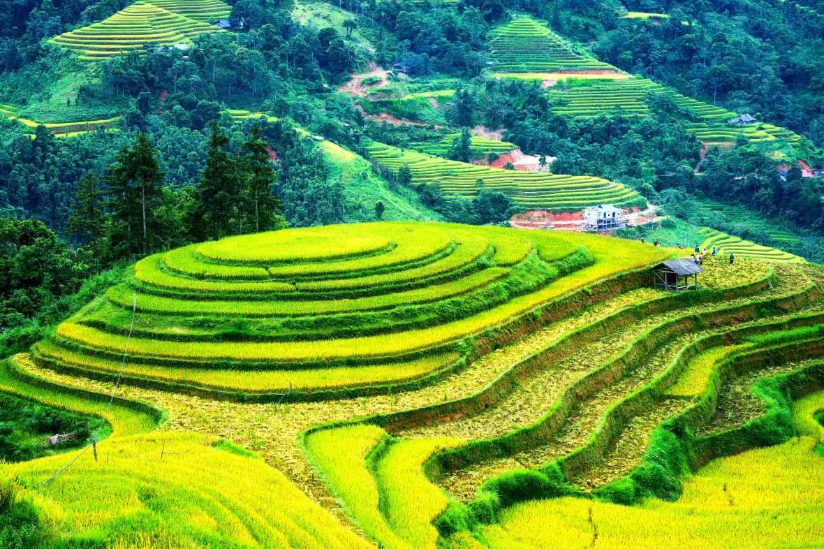 vietnam7.jpg