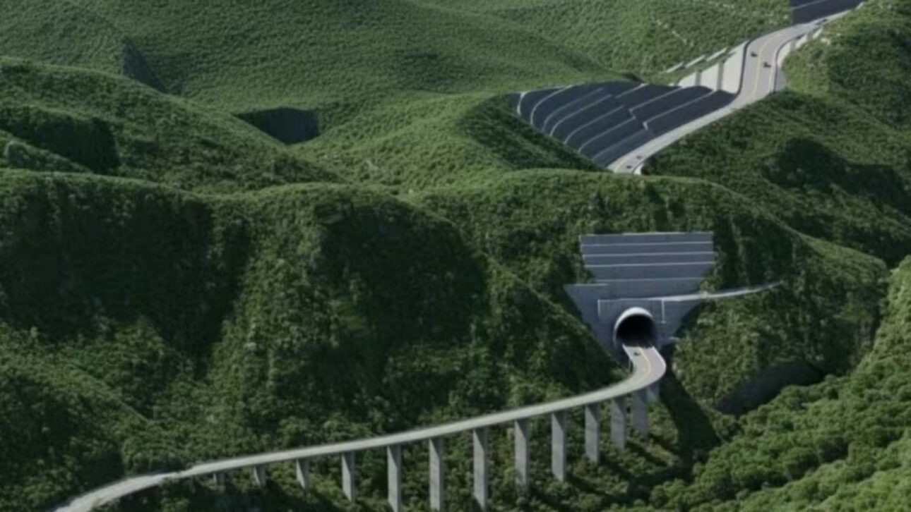 imagem-cpg-redimencionada-para-google-discovery-13-5-1290x726.jpg