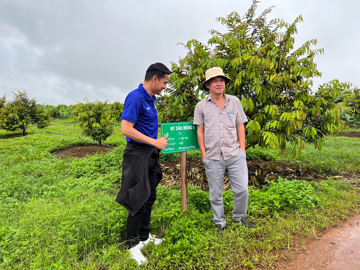 Bầu Đức tiết lộ vùng trồng gần 19.000ha của HAGL, 3 trong 4 loại cây đang cho biên lãi gộp trên 45%