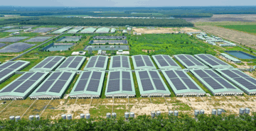 Từ Tây Ninh đến Gia Lai: BAF xây nền tảng tăng trưởng cho mục tiêu 10 triệu heo thương phẩm