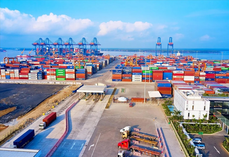 xuatnhap-1772782834565723163435.jpg