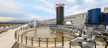 Miza (MZG) sắp vận hành dây chuyền mới công suất 120.000 tấn/năm