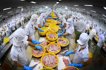 'Vàng nước' của Việt Nam thu gần 8 tỷ USD sau 8 tháng, Trung Quốc chiếm gần 1/4 thị trường