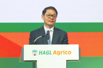 HAGL Agrico lỗ 187 tỷ sau nửa năm, kế toán trưởng viết đơn từ nhiệm