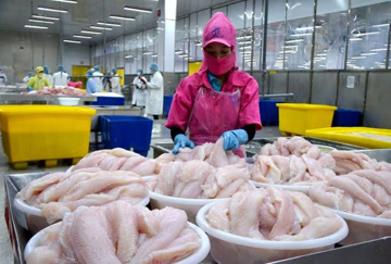 Mặt hàng xuất khẩu tỷ USD của Việt Nam trước bước ngoặt lớn: Mỹ siết thuế, Trung Quốc nổi lên