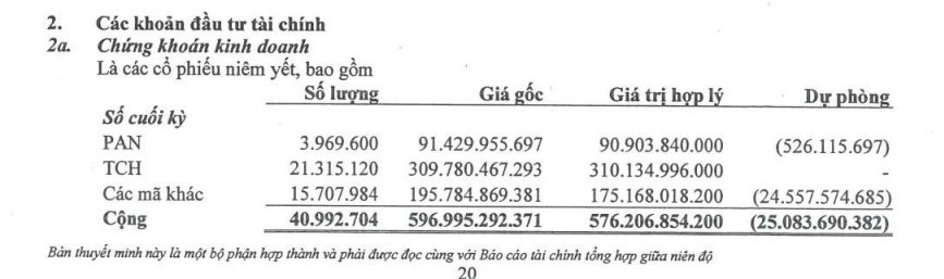 Các khoản đầu tư của NTL1
