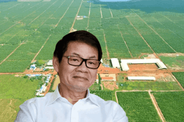 THACO AGRI muốn làm dự án dược liệu quy mô 2.616ha tại Việt Nam