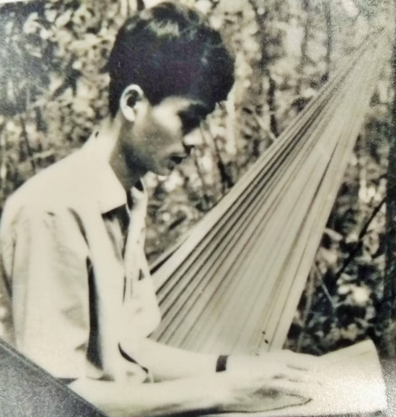 leanhxuan1.jpg