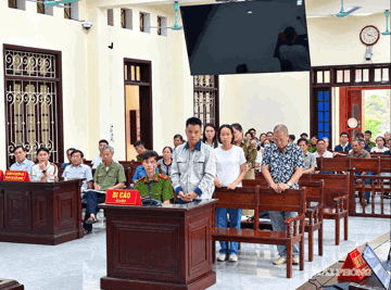 Chủ tịch Công ty CP Đầu tư AVISA lĩnh án chung thân