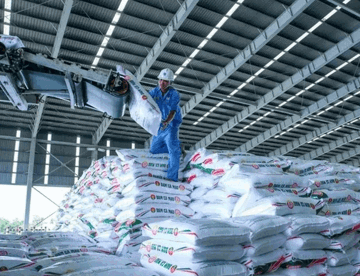 Việt Nam xuất khẩu hơn 1,9 triệu tấn phân bón, thu gần 1,07 tỷ USD