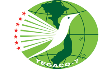 DM7: Báo cáo tài chính quý 4/2023